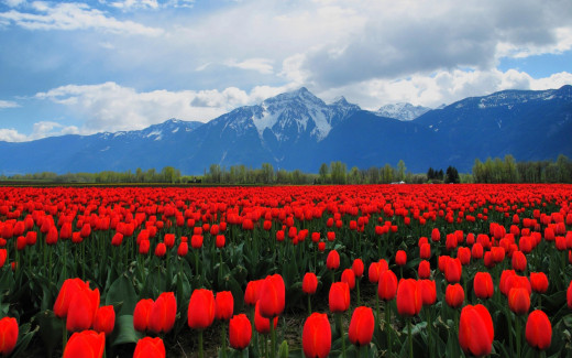 623048 (a): :2560x1600